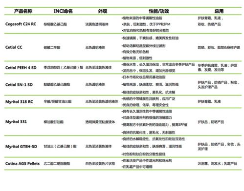 賽福網站 專業網站建設與服務